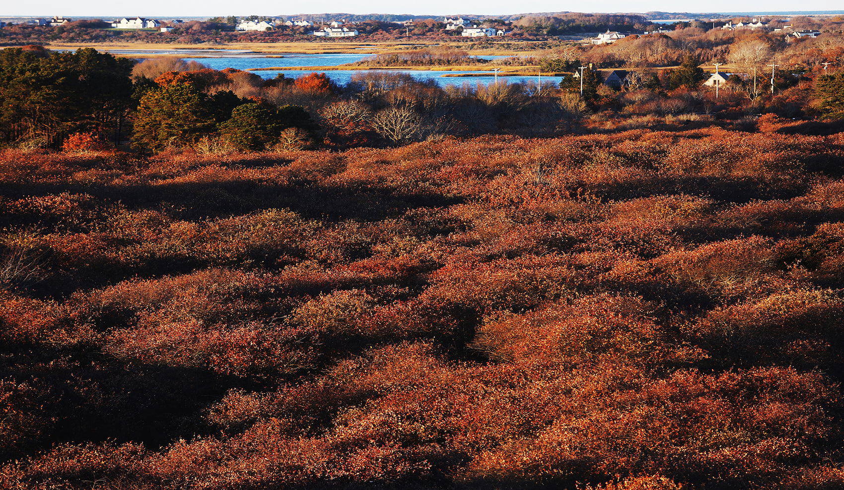 Autumn Moors