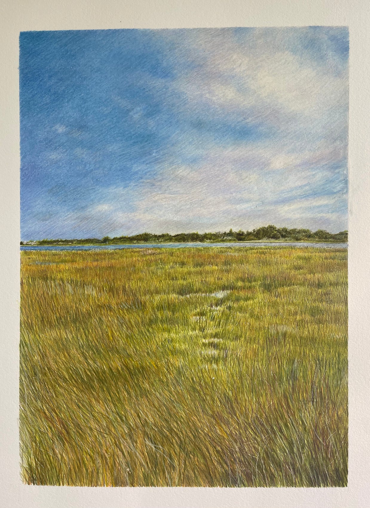 Pink Clouds Over the Marsh