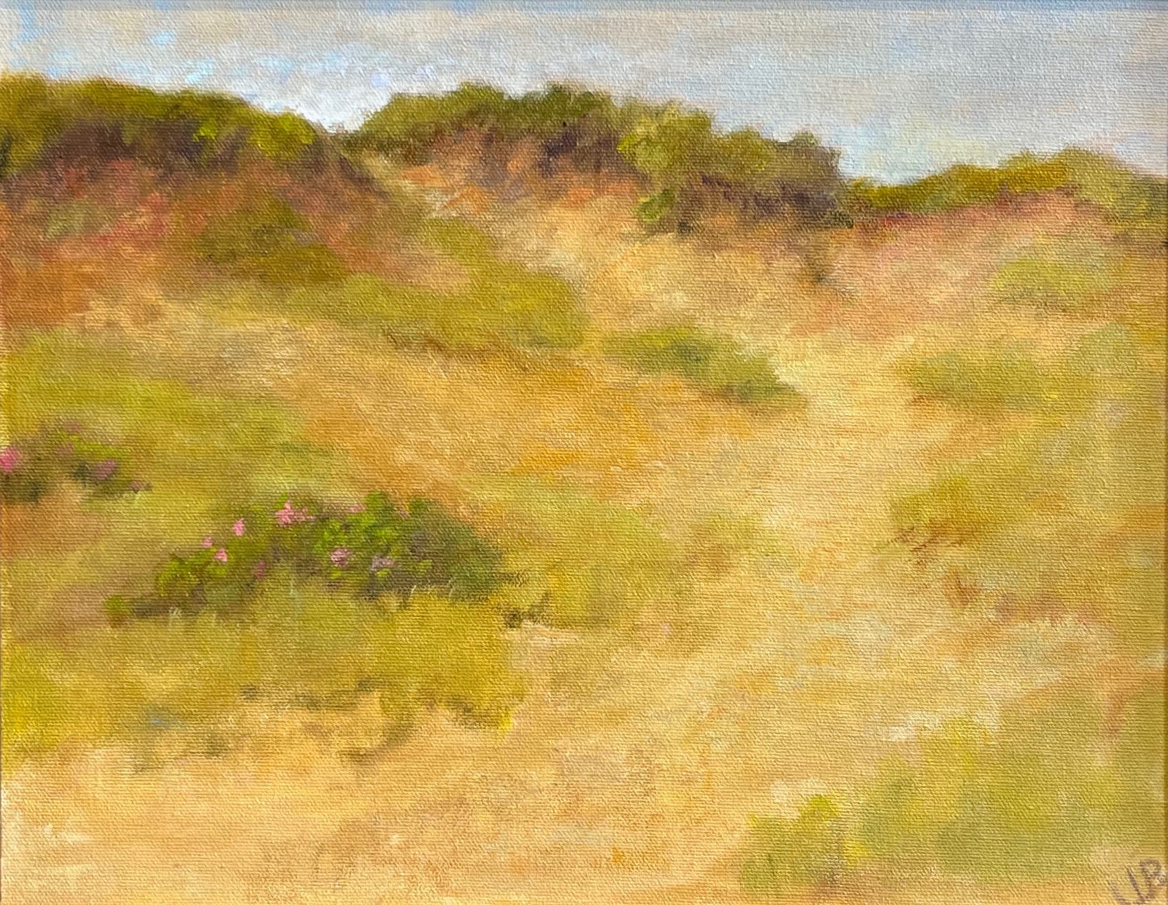 Rose Among the Dunes