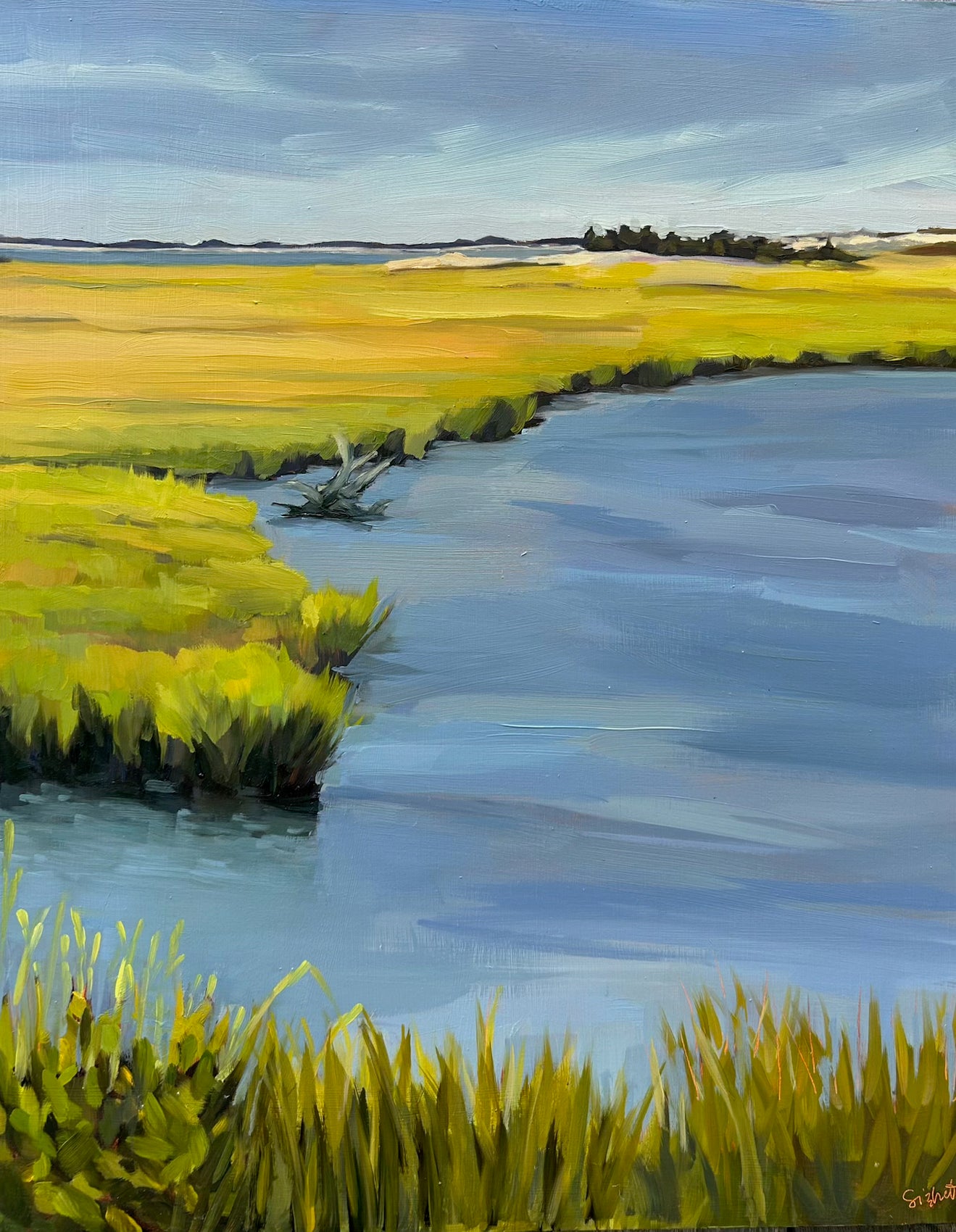 Polpis Marsh - Lifesaving Museum