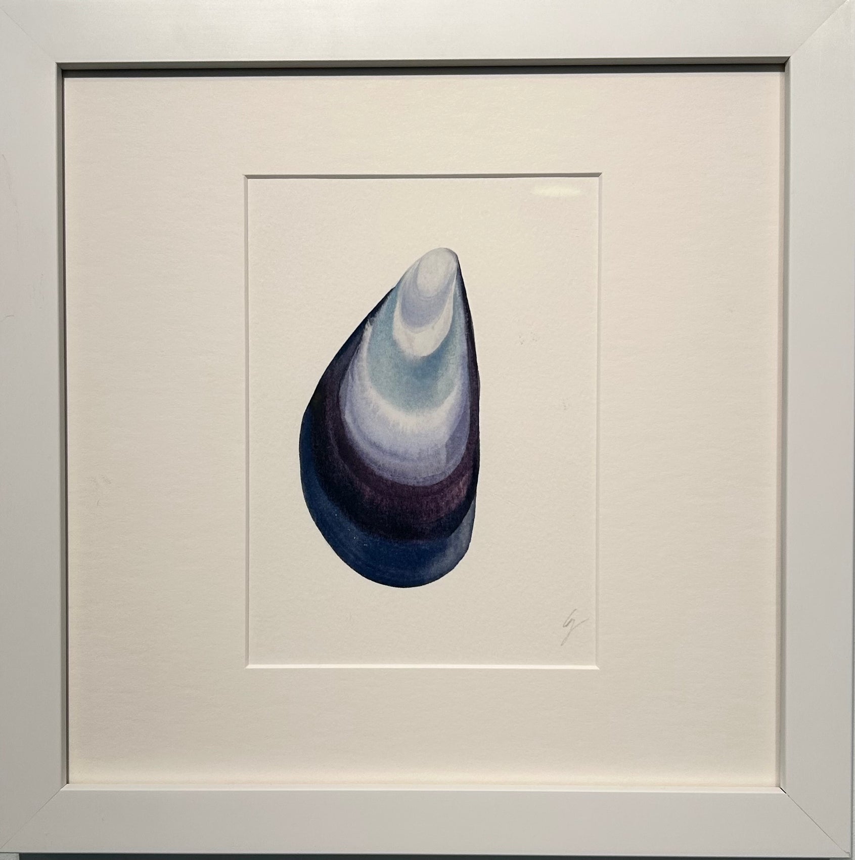 Violet Shell