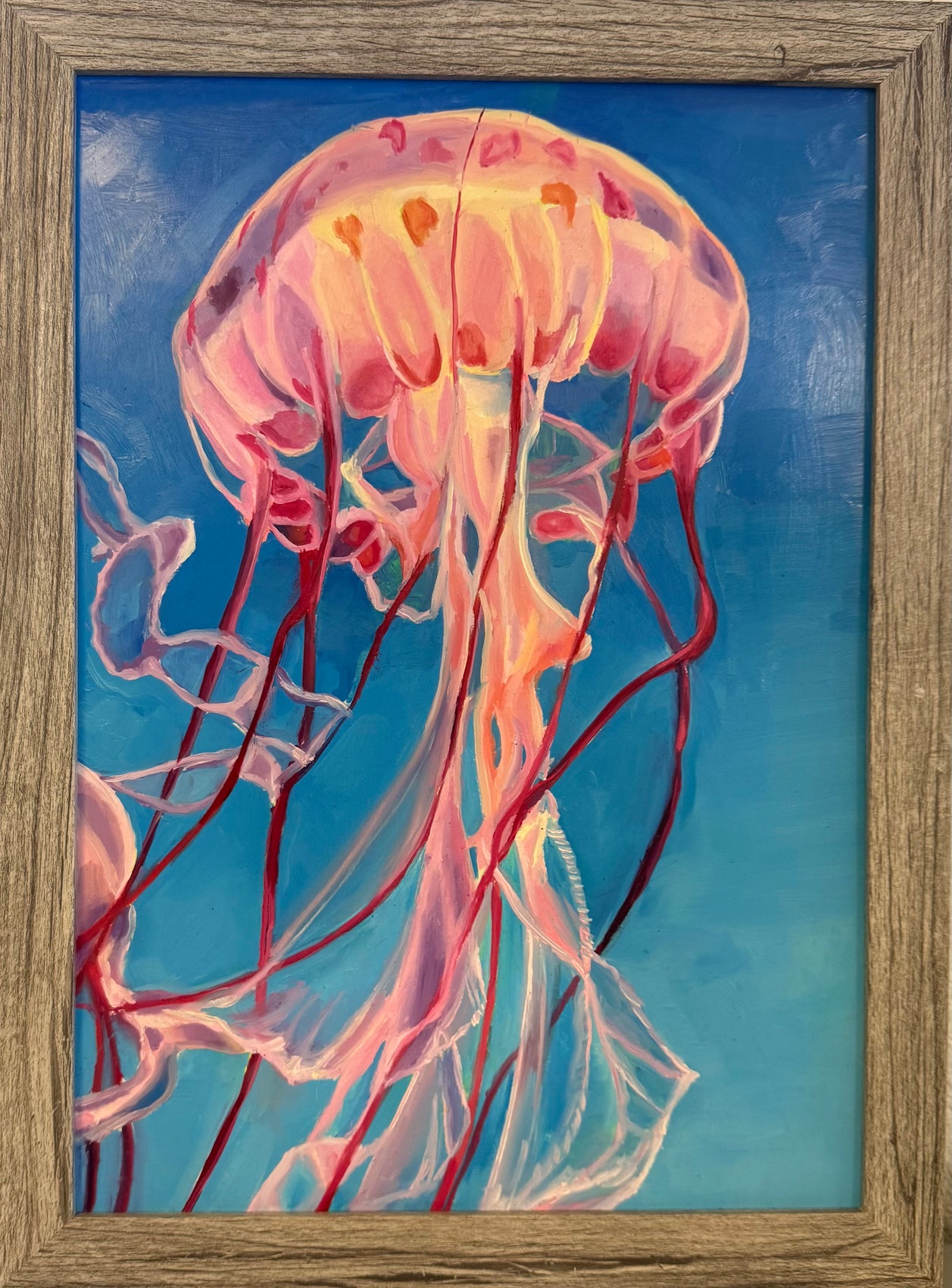 Coral Pulse