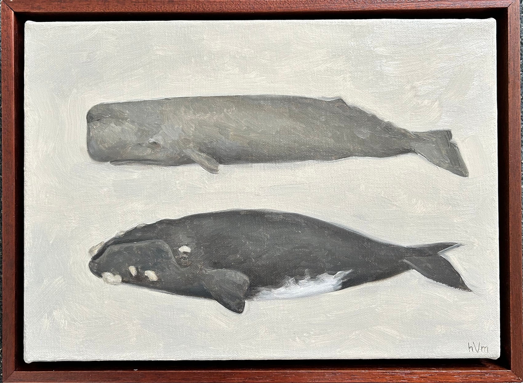 Sperm and Right Whale