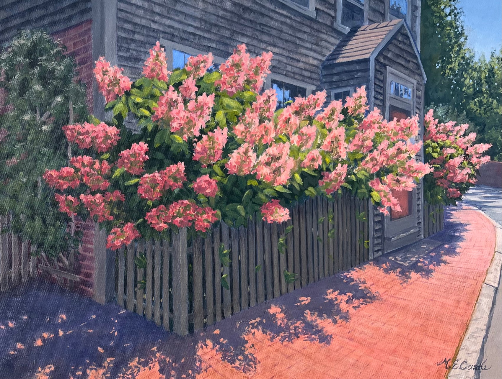 September Hydrangeas