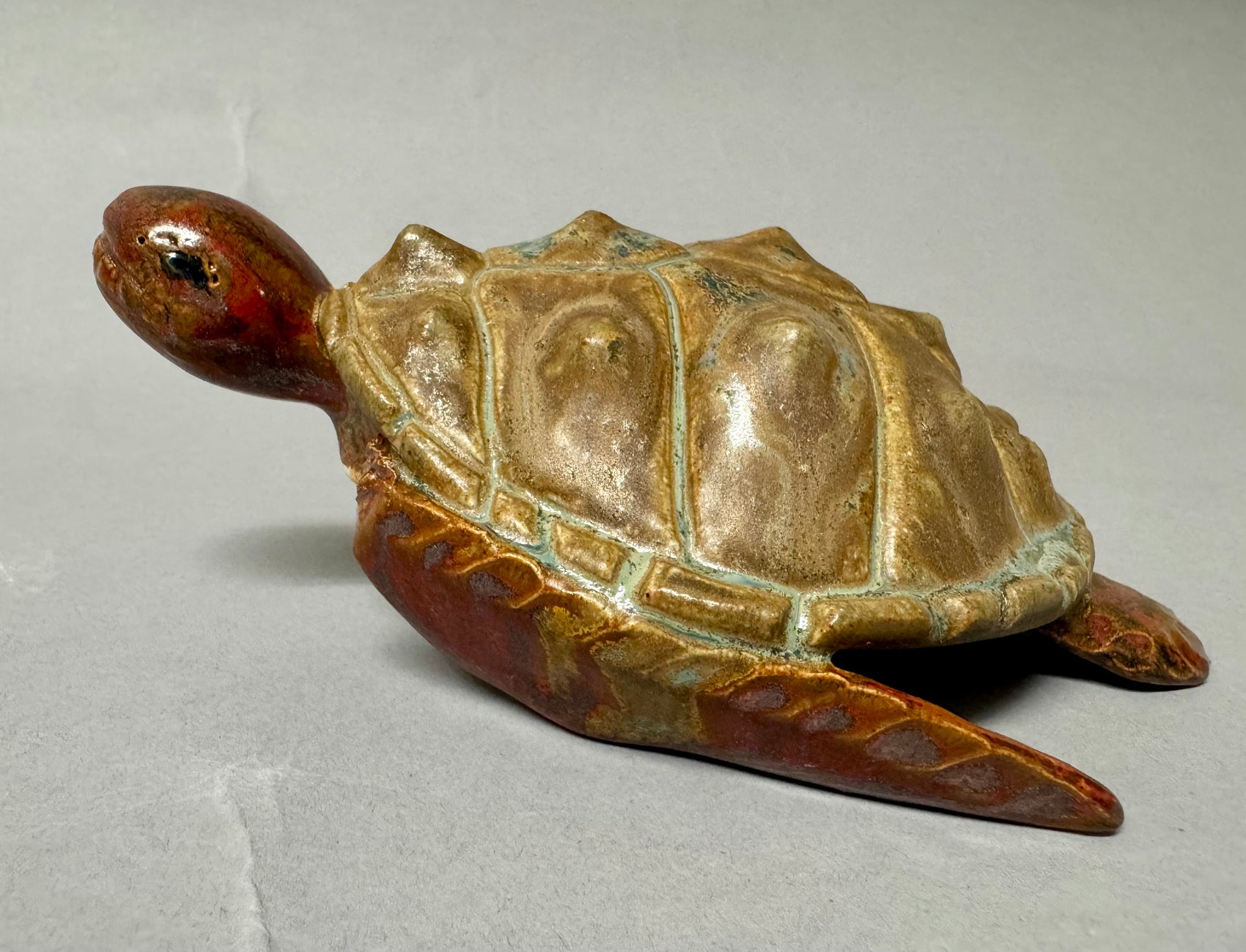 Sea Turtle
