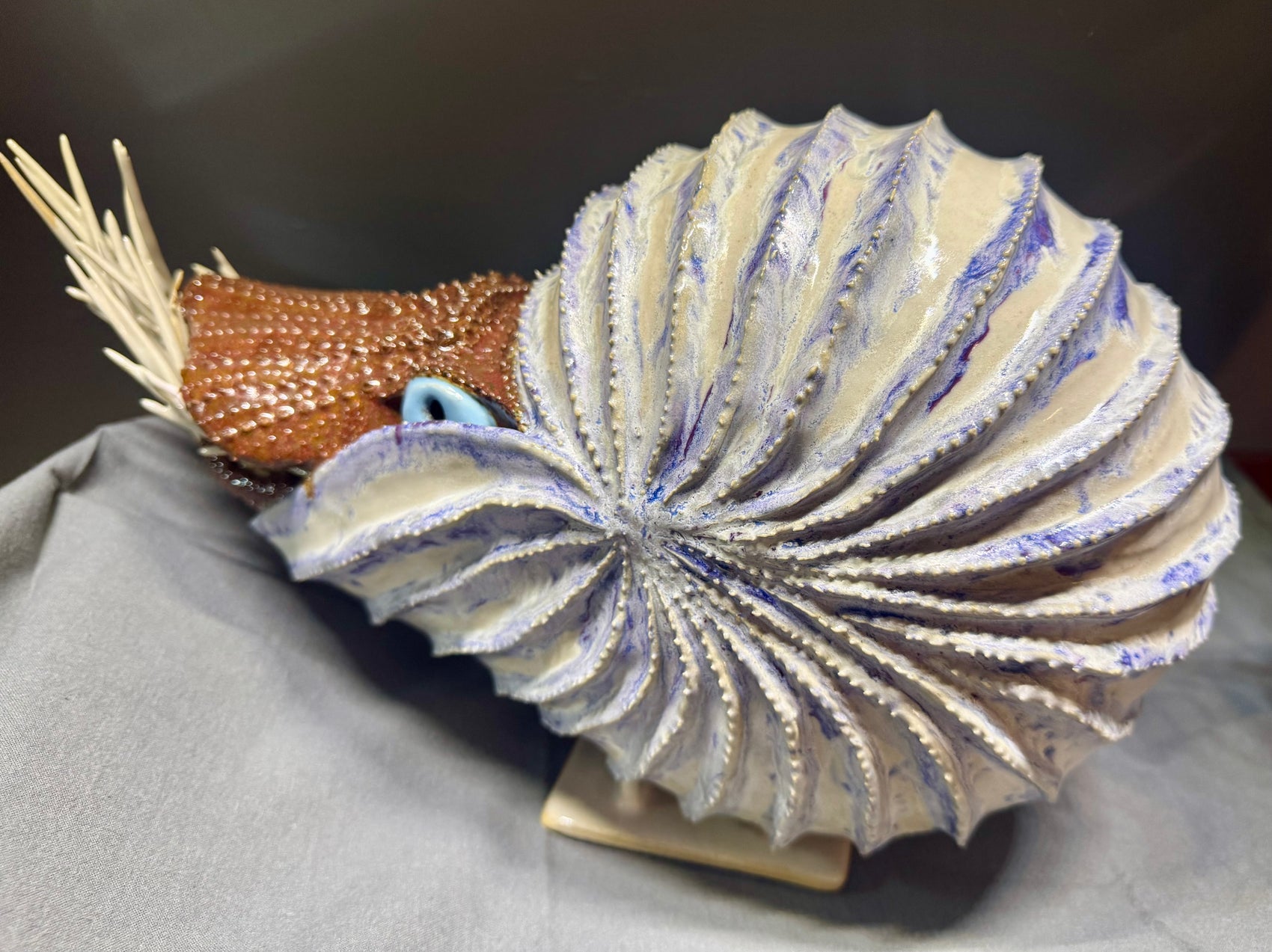 Nautilus