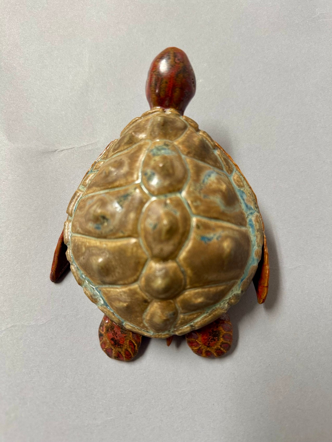 Sea Turtle
