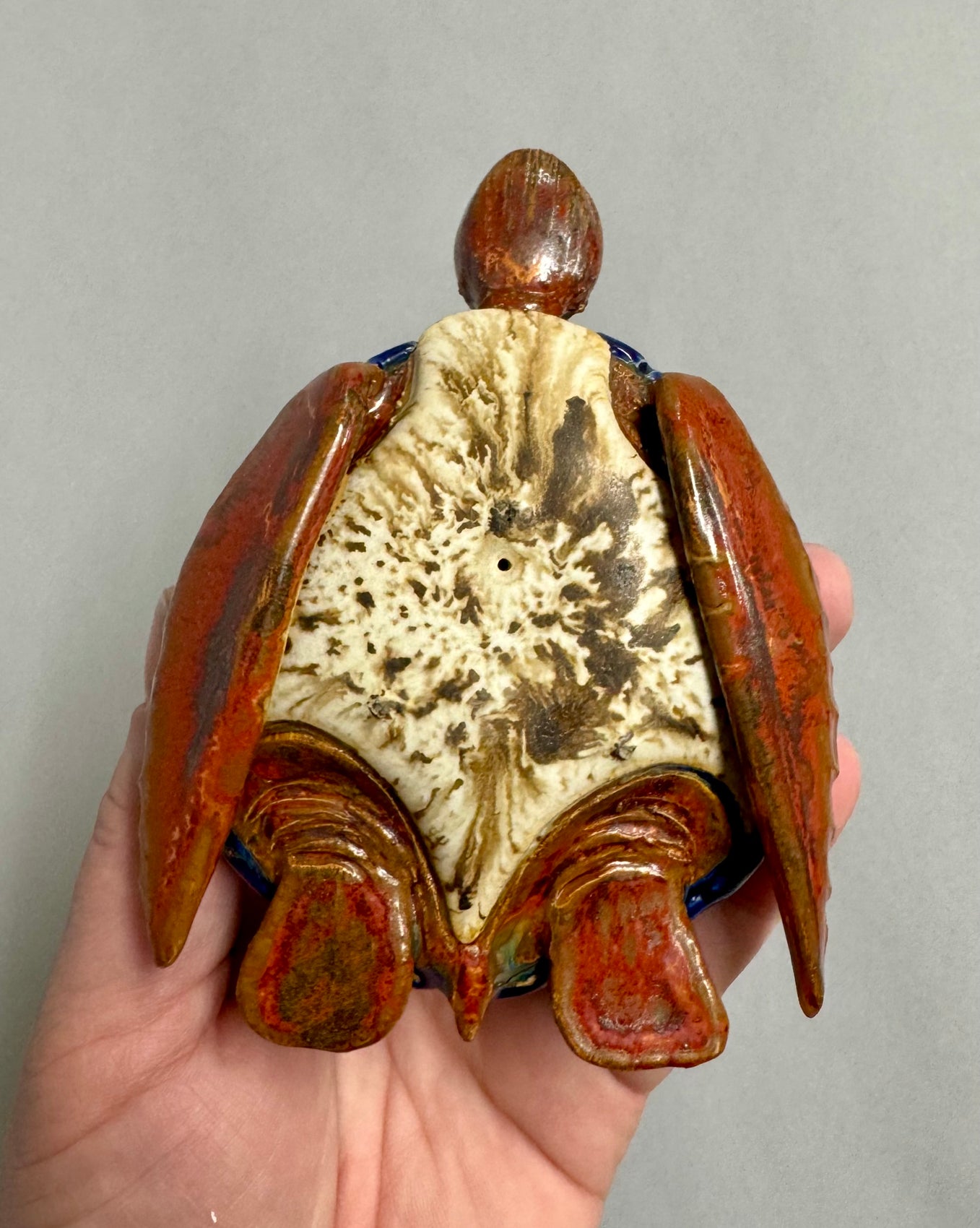 Sea Turtle