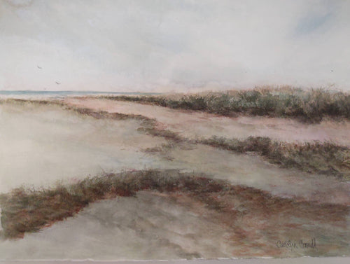 Miacomet Moors